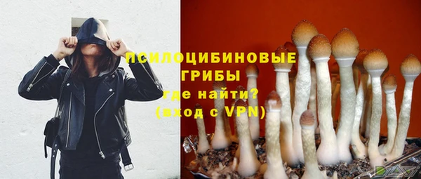 экстази Дмитров