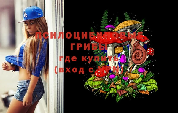 мескалин Дмитриев