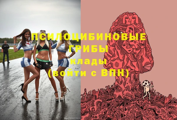 мескалин Дмитриев