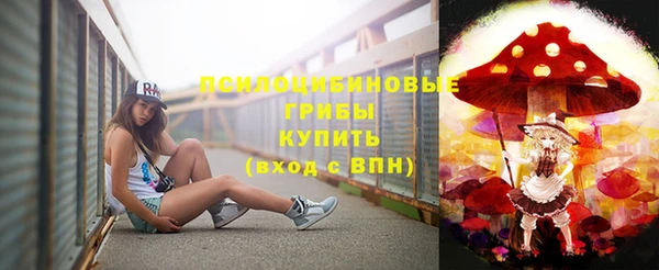 мескалин Дмитриев